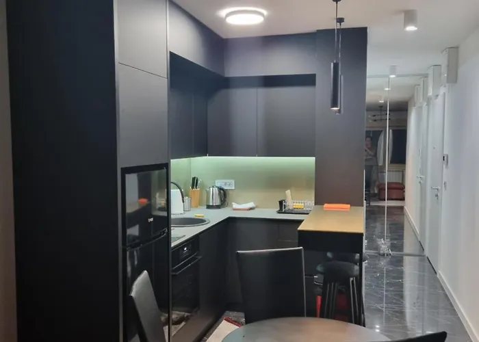 One Bedroom Apartment In Belgrade City Center